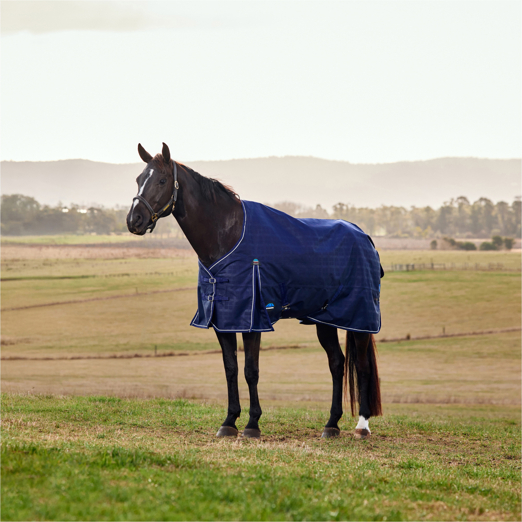 2026 WeatherBeeta Comfitec 0G Vorläufig Sich Herausstellen 1029033020 - Navy Embossed Plaid